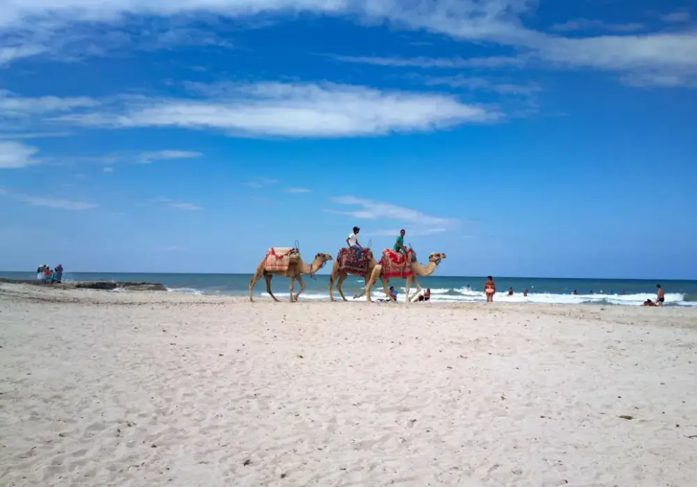 Djerba bezpieczna? Praktyczny przewodnik, by uniknąć pułapek