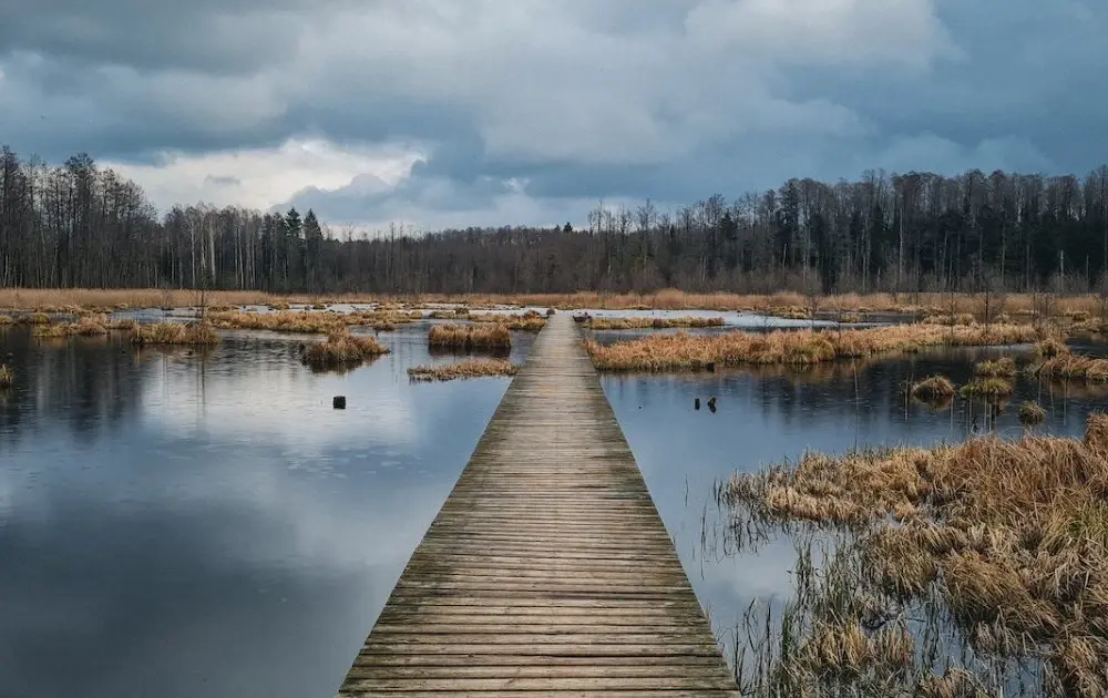 Gdzie jechać w niedzielę: Doskonałe pomysły na one-day trip
