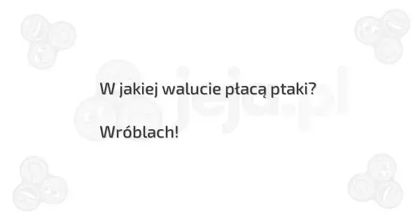 W jakiej walucie płacą ptaki - poznaj popularny żart internetowy