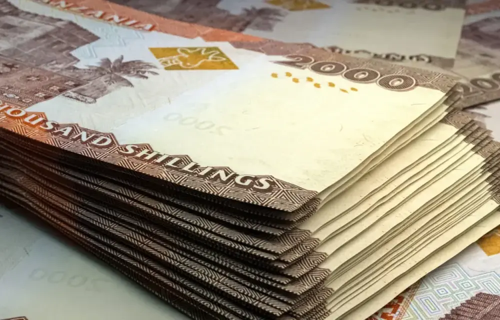 Jaka waluta w Zanzibarze: praktyczny poradnik dla turystów 2025