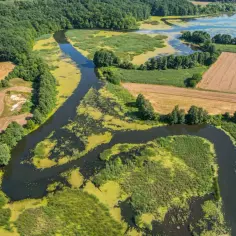 Malownicze, zielone tereny z krętą rzeką i polami, idealne na weekendowe wypady. Odkryj ciekawe miejsca 150 km od Warszawy.