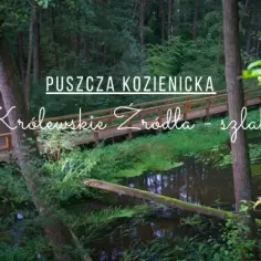 Atrakcje pod Warszawą: Jakie atrakcje są pod Warszawą i w jej okolicach?