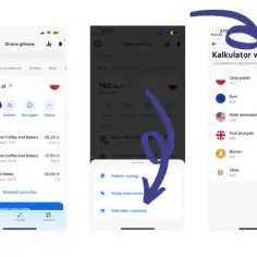 Jak wymienić walutę w Revolut: kompletna instrukcja krok po kroku