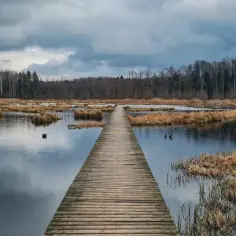 Gdzie jechać w niedzielę: Doskonałe pomysły na one-day trip
