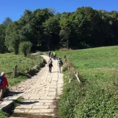 Jak przygotować się do Camino de Santiago: Kompletny poradnik
