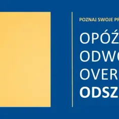Jak sprawdzić czy lot jest opóźniony? Porady dla podróżnych