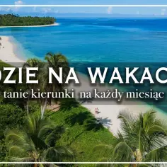 Rajska plaża z palmami i turkusową wodą. Szukasz inspiracji, gdzie na wakacje 2026? Tanie kierunki na każdy miesiąc czekają!