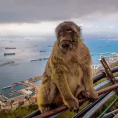 Gibraltar - Co zobaczyć i zwiedzić? Niezapomniane atrakcje