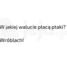 W jakiej walucie płacą ptaki - poznaj popularny żart internetowy