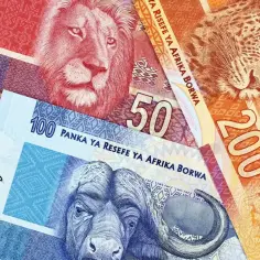 Jaka waluta w RPA: wszystko o randzie południowoafrykańskim ZAR i jego kursie