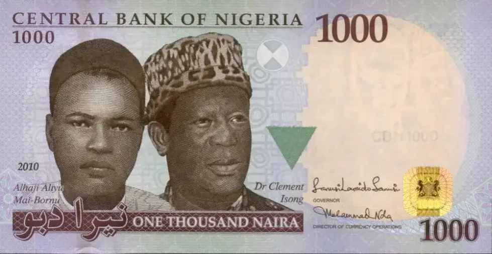 Zdjęcie Jaka waluta w Nigerii? Wszystko o nairze nigeryjskiej i jej historii
