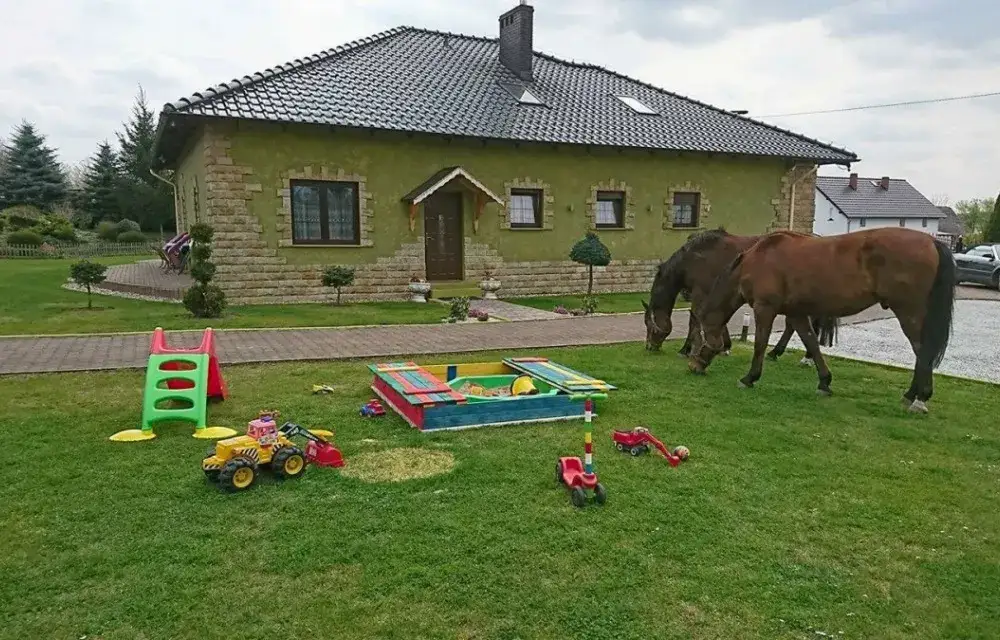 Zdjęcie Agroturystyka Klekusiowo: Co warto wiedzieć o agroturystyce Klekusiowo?