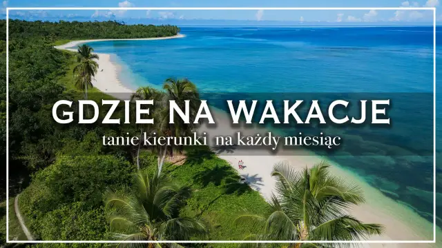 Rajska plaża z palmami i turkusową wodą. Szukasz inspiracji, gdzie na wakacje 2026? Tanie kierunki na każdy miesiąc czekają!